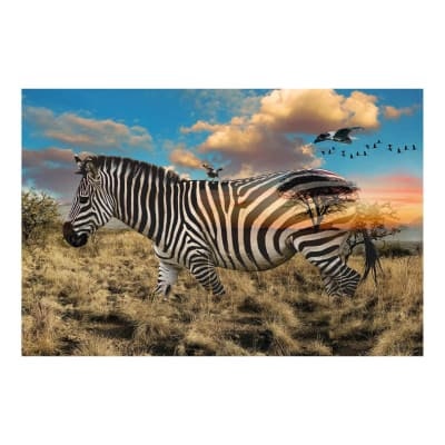 African Fabric Panel Zebra - Realistic Beauty Nature -Hoffman   Call of the Wild - 100% Quality Cotton 43"x28" Panel