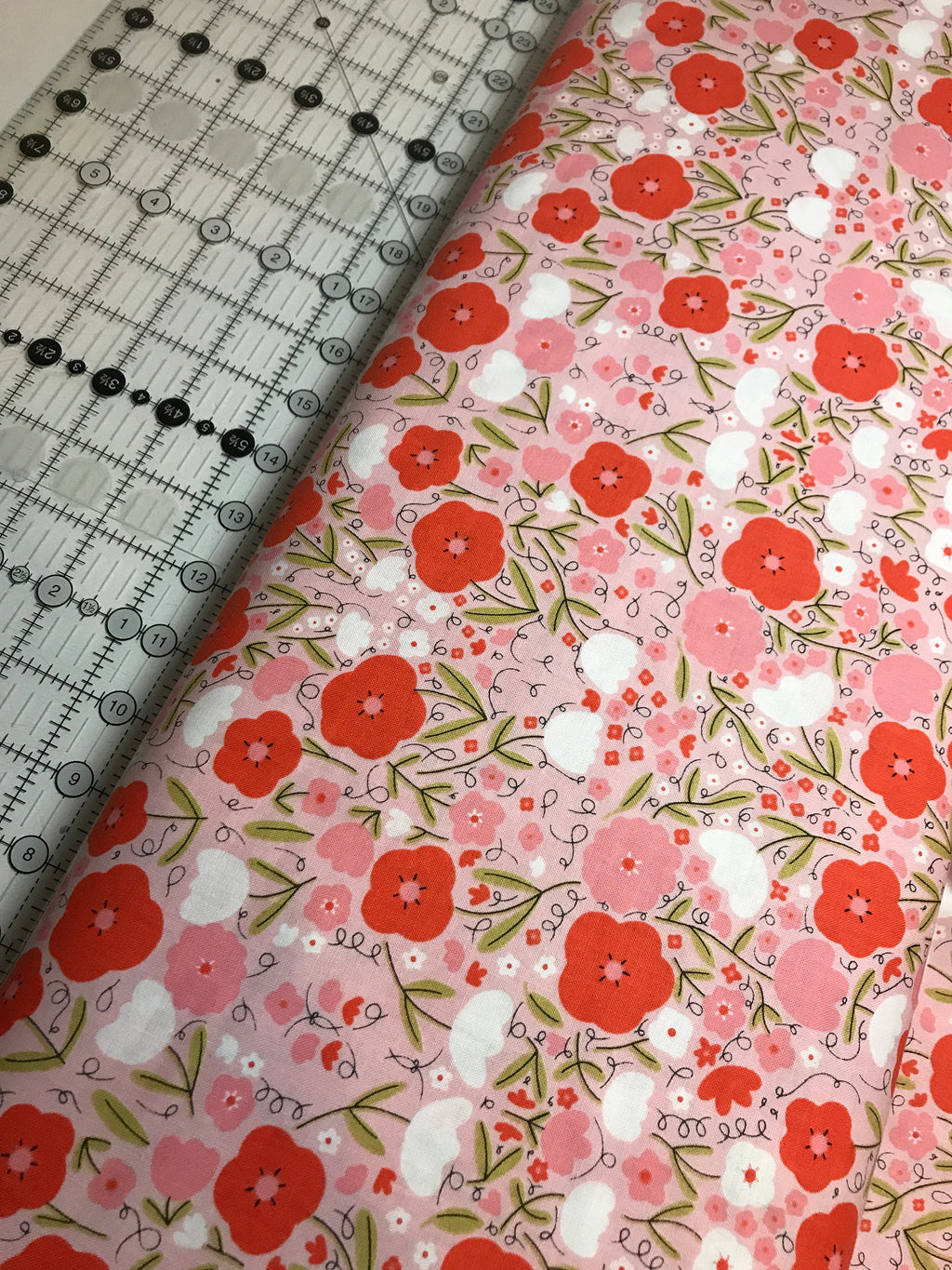 Moda Fabric Words To Live By by Gingiber - 48321 in Color 13 - 100% Quality Cotton by 1/2 Yd and Yardage