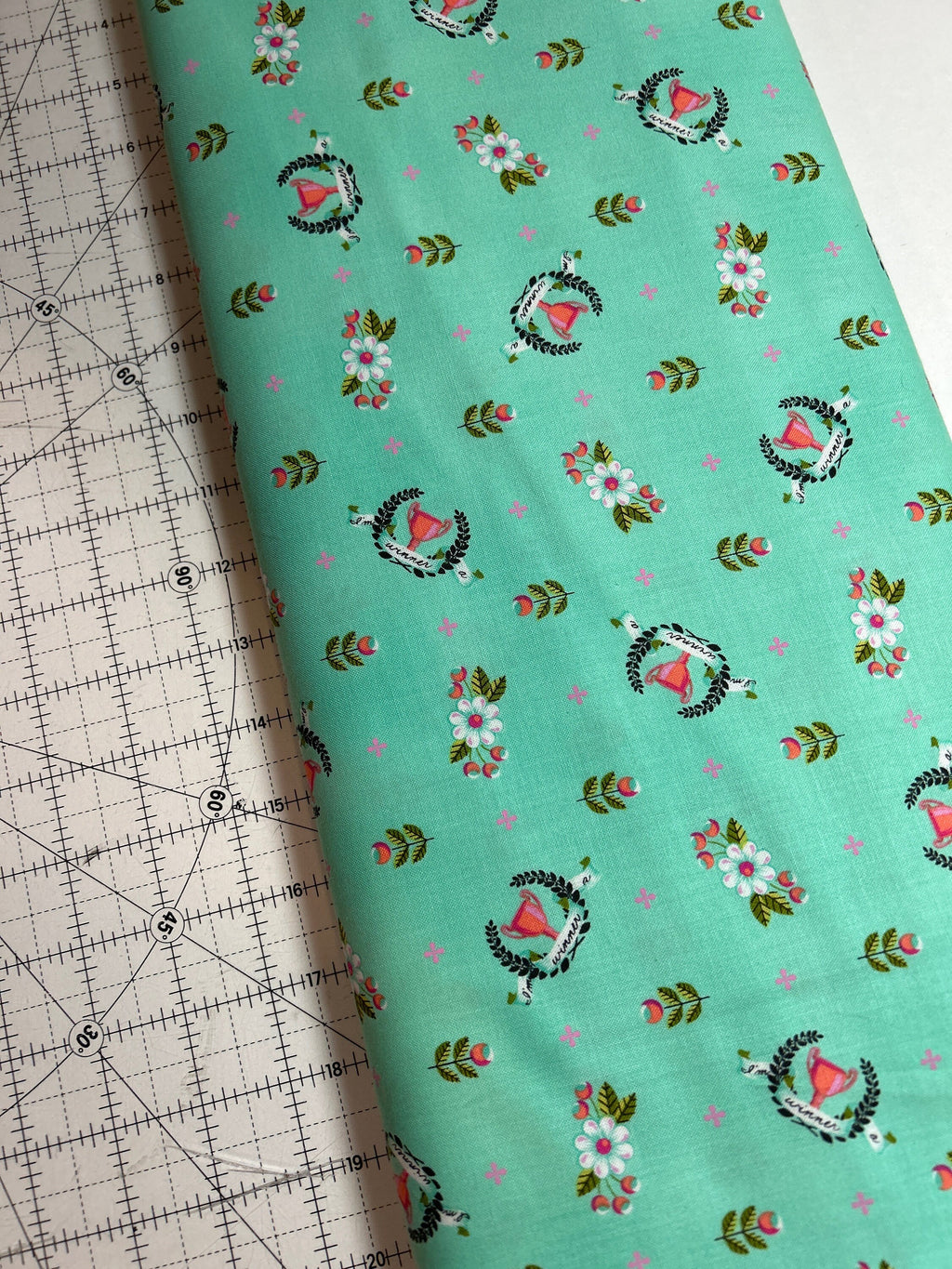 Tula Pink Fabric Slow and Steady - Winners Circle in Strawberry Kiwi- PWTP 089  -100% Quality Cotton by Yard up to Yardage - Rare and OOP