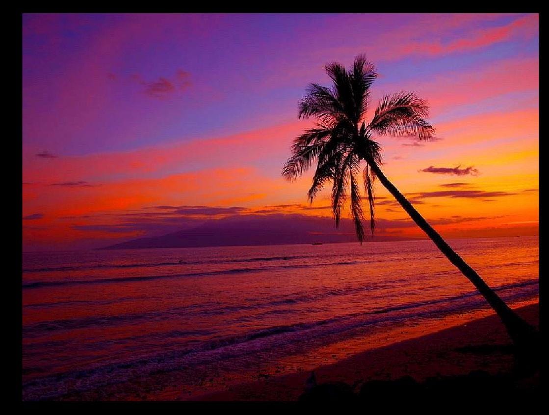 New! Kaffe Fabric - Quilt Kit - Kaffe Fassett - Hawaiian Sunset Quilt Kit™  - Log Cabin 78"x82" Beach - 100% Cotton Kit