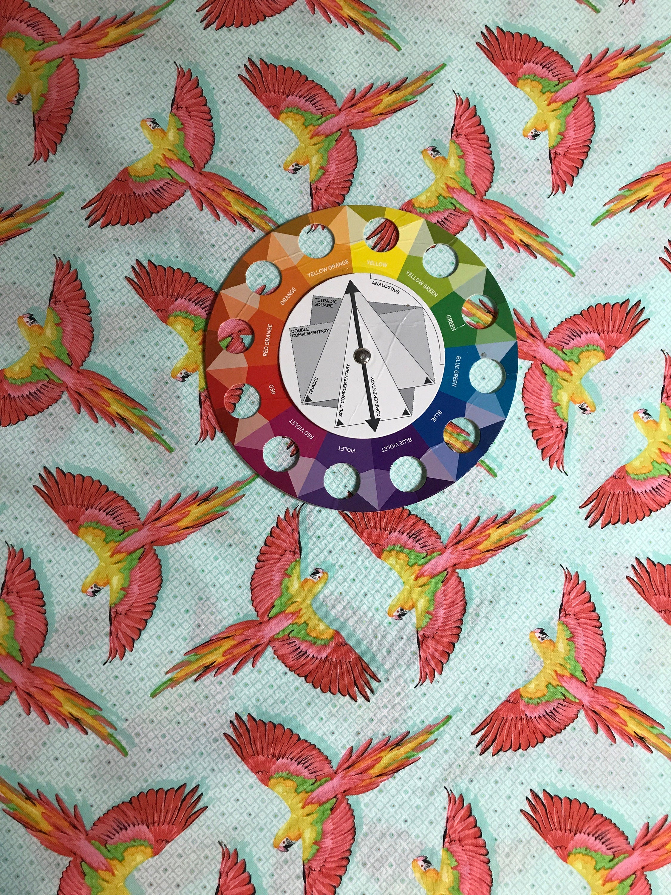 Tula Pink Fabric DAYDREAMER PWTP170 Macaw Ya Later in Mango Tula Pink Fabric - FreeSpirit - 100% Quality Cotton by 1/2 Yd and Yardage