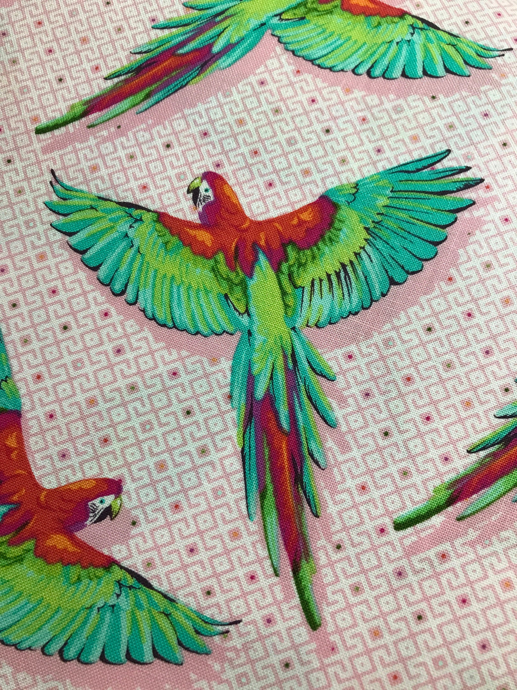 Tula Pink Fabric DAYDREAMER PWTP170 Macaw Ya Later in Dragonfruit Tula Pink Fabric - FreeSpirit - 100% Quality Cotton by 1/2 Yd and Yardage