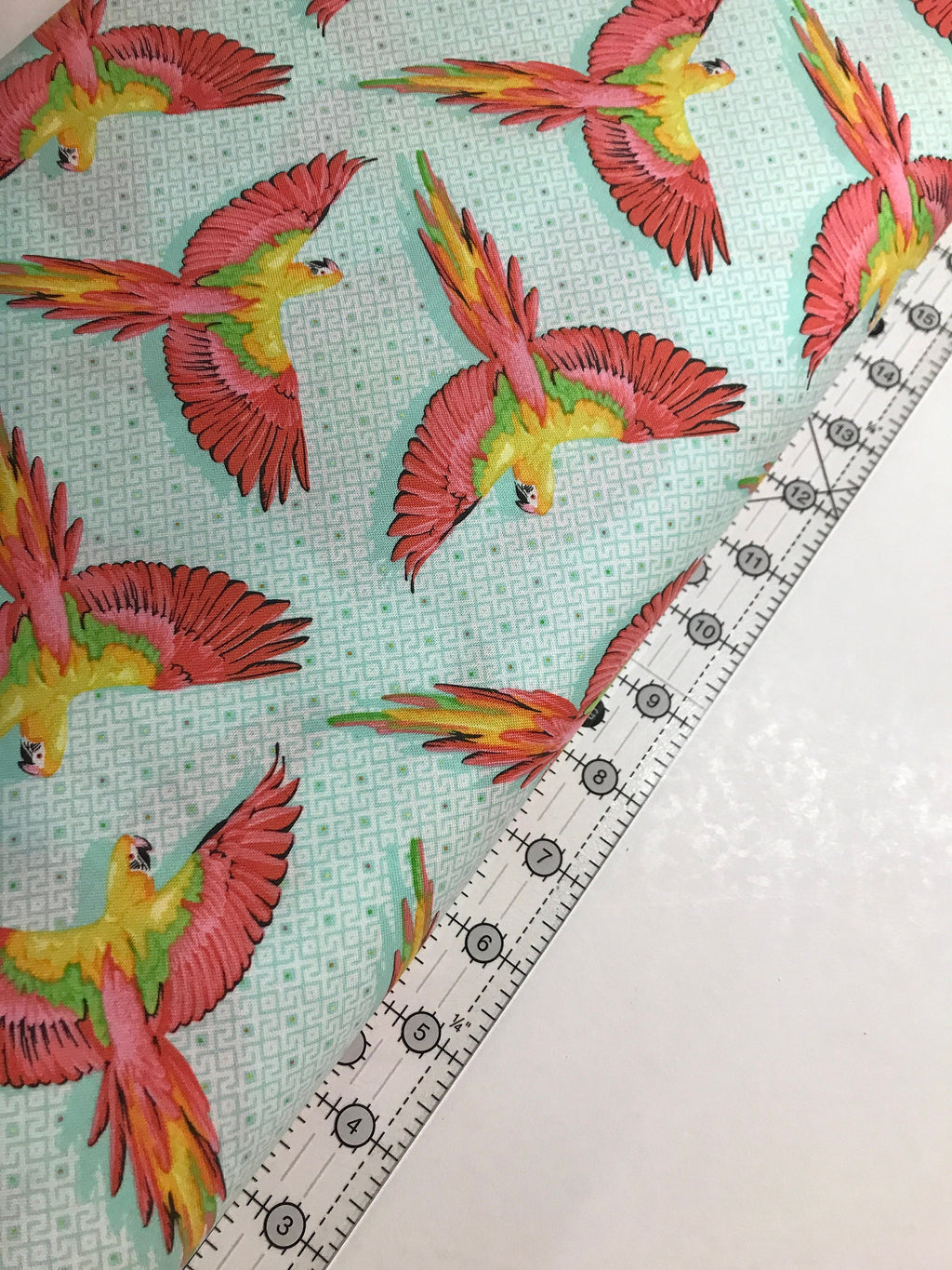 Tula Pink Fabric DAYDREAMER PWTP170 Macaw Ya Later in Mango Tula Pink Fabric - FreeSpirit - 100% Quality Cotton by 1/2 Yd and Yardage