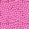 Kaffe Fassett Fabric-Jumble Bubblegum PWBM053.BUBBLEGUM Spring  2021 by FreeSpirit - 100%  Quality Cotton - by Yd and YARDAGE