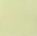 Solids Fabric Pale Sage - Green - Blenders by Oasis Fabrics - Solid Color Pale Sage OA622038-053 - 100%  Cotton by 1/2 Yard or Yardage