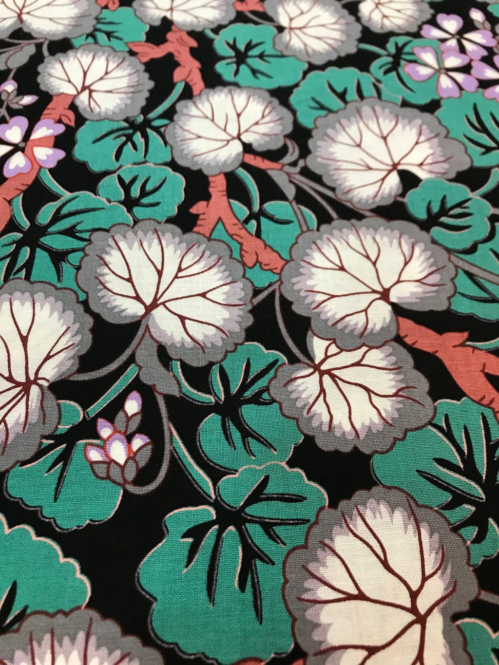 Kaffe Fassett Fabric - Climbing Geraniums in Black - Fall Collective 2021 by FreeSpirit -100%  Quality Cotton by the FQ, 1/2 Yd and YARDAGE